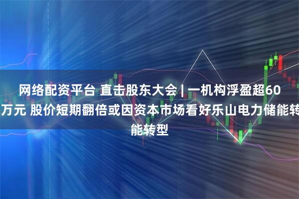 网络配资平台 直击股东大会 | 一机构浮盈超6000万元 股价短期翻倍或因资本市场看好乐山电力储能转型