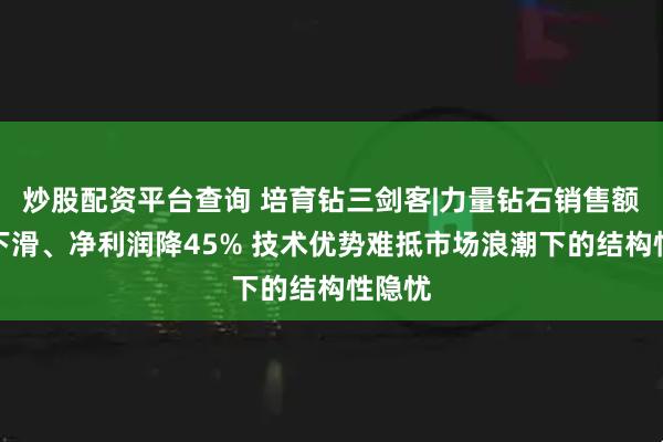炒股配资平台查询 培育钻三剑客|力量钻石销售额持续下滑、净利润降45% 技术优势难抵市场浪潮下的结构性隐忧