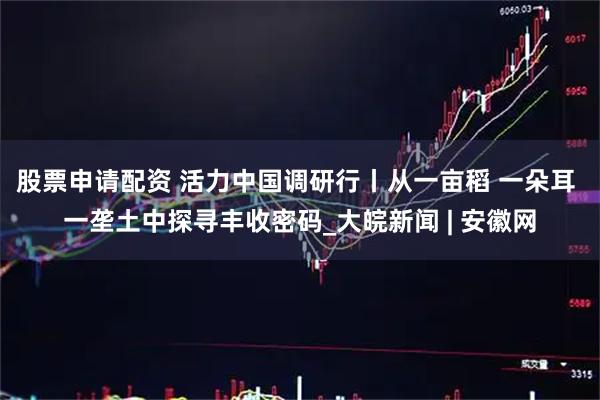 股票申请配资 活力中国调研行丨从一亩稻 一朵耳 一垄土中探寻丰收密码_大皖新闻 | 安徽网