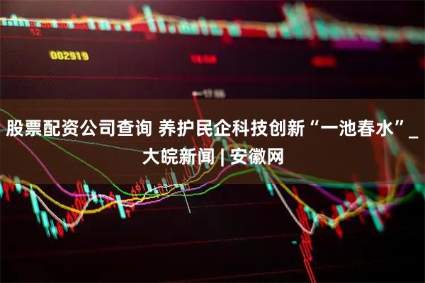 股票配资公司查询 养护民企科技创新“一池春水”_大皖新闻 | 安徽网