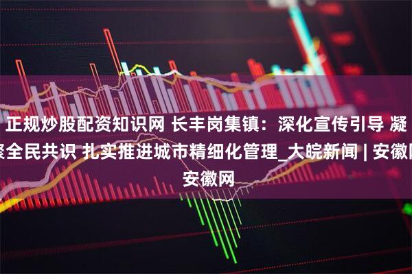 正规炒股配资知识网 长丰岗集镇：深化宣传引导 凝聚全民共识 扎实推进城市精细化管理_大皖新闻 | 安徽网