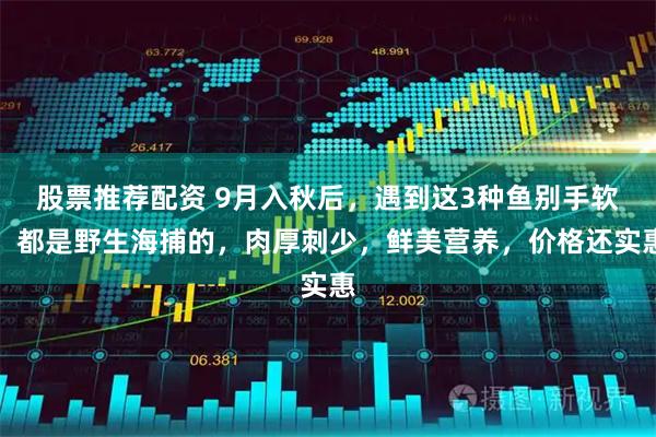 股票推荐配资 9月入秋后，遇到这3种鱼别手软，都是野生海捕的，肉厚刺少，鲜美营养，价格还实惠